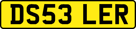 DS53LER