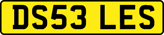 DS53LES
