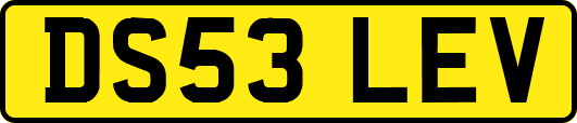 DS53LEV