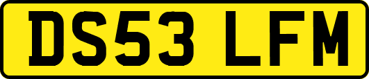 DS53LFM