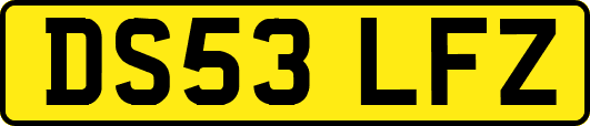 DS53LFZ