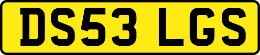 DS53LGS
