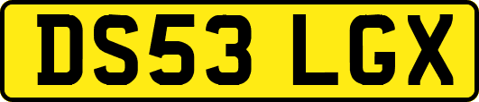 DS53LGX