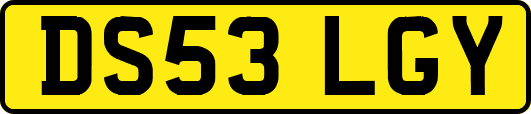 DS53LGY