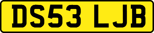 DS53LJB