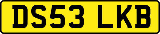 DS53LKB