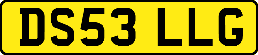 DS53LLG