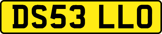 DS53LLO