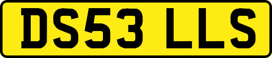 DS53LLS