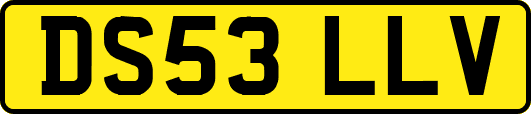 DS53LLV