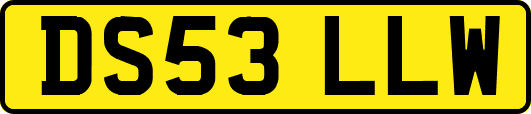 DS53LLW