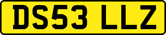 DS53LLZ