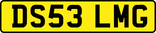 DS53LMG
