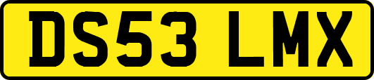 DS53LMX