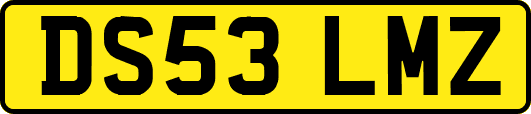 DS53LMZ