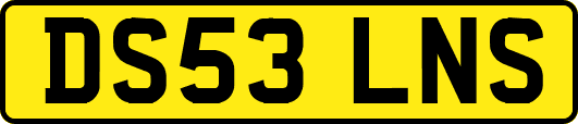 DS53LNS