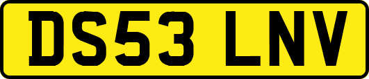 DS53LNV