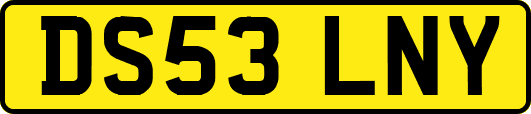 DS53LNY