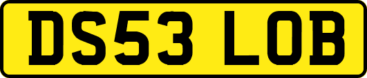 DS53LOB