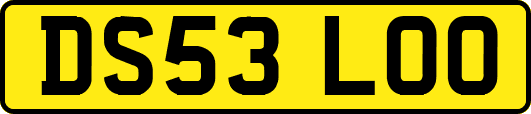 DS53LOO