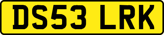 DS53LRK