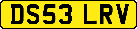 DS53LRV
