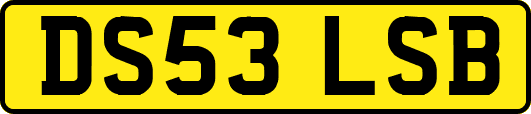 DS53LSB