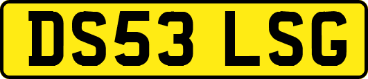 DS53LSG