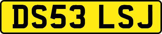 DS53LSJ
