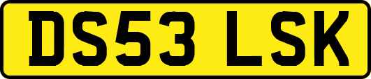 DS53LSK