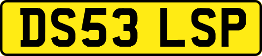 DS53LSP