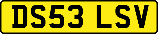 DS53LSV