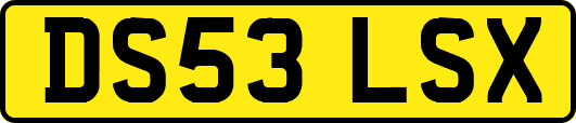 DS53LSX