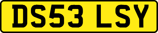 DS53LSY