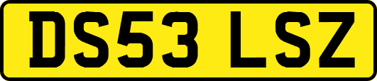 DS53LSZ