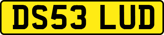 DS53LUD