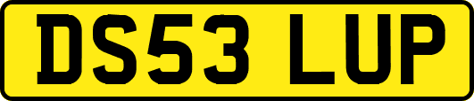DS53LUP