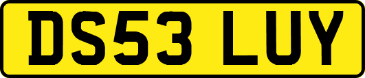 DS53LUY
