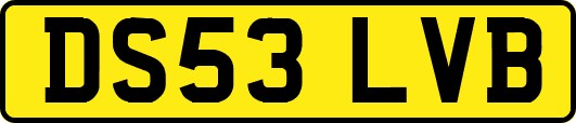 DS53LVB