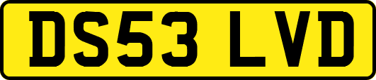 DS53LVD