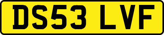 DS53LVF