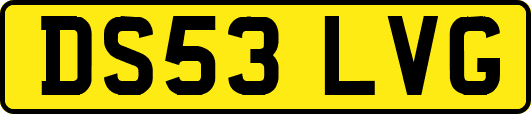 DS53LVG