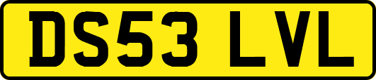 DS53LVL