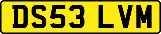 DS53LVM