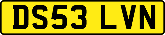 DS53LVN