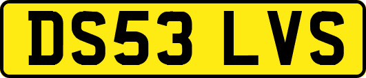 DS53LVS