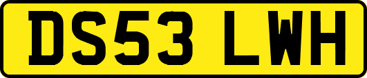 DS53LWH