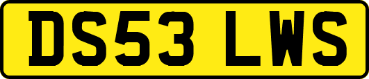 DS53LWS