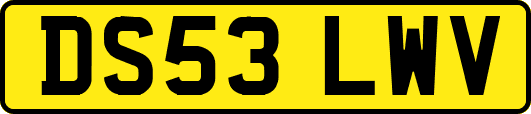 DS53LWV