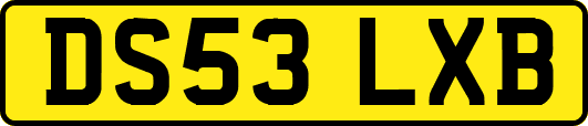 DS53LXB